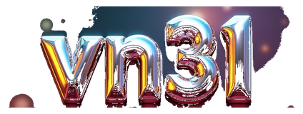 vn31 logo